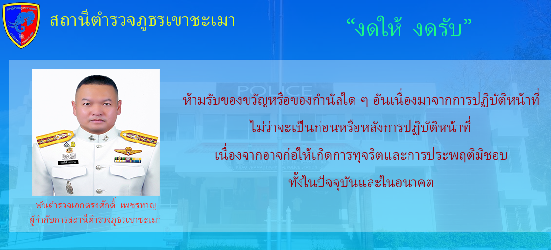 นโยบายภาษาไทย
